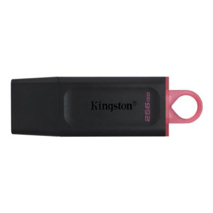 Memoria USB Kingston Technology DTX/256GB, Negro, 256 GB, USB